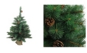 Northlight 3' Royal Oregon Pine Artificial Christmas Tree in Burlap Base - Unlit